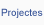 Projectes